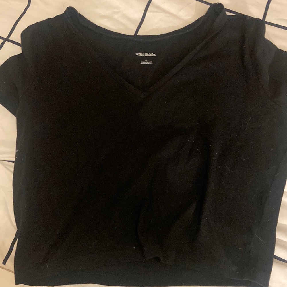 Wild fable black v neck crop top
